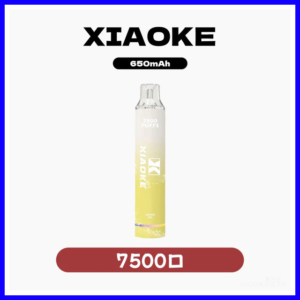 XIAOKE梟客電子煙一次性拋棄式7500口可充電【25種口味】