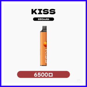 KIS5凱斯電子煙一次性/拋棄式菸桿 6500口