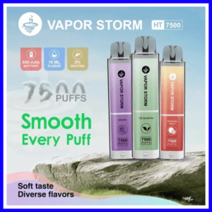 VAPOR STORM風暴辣妹電子煙可充電一次性拋棄式7500口